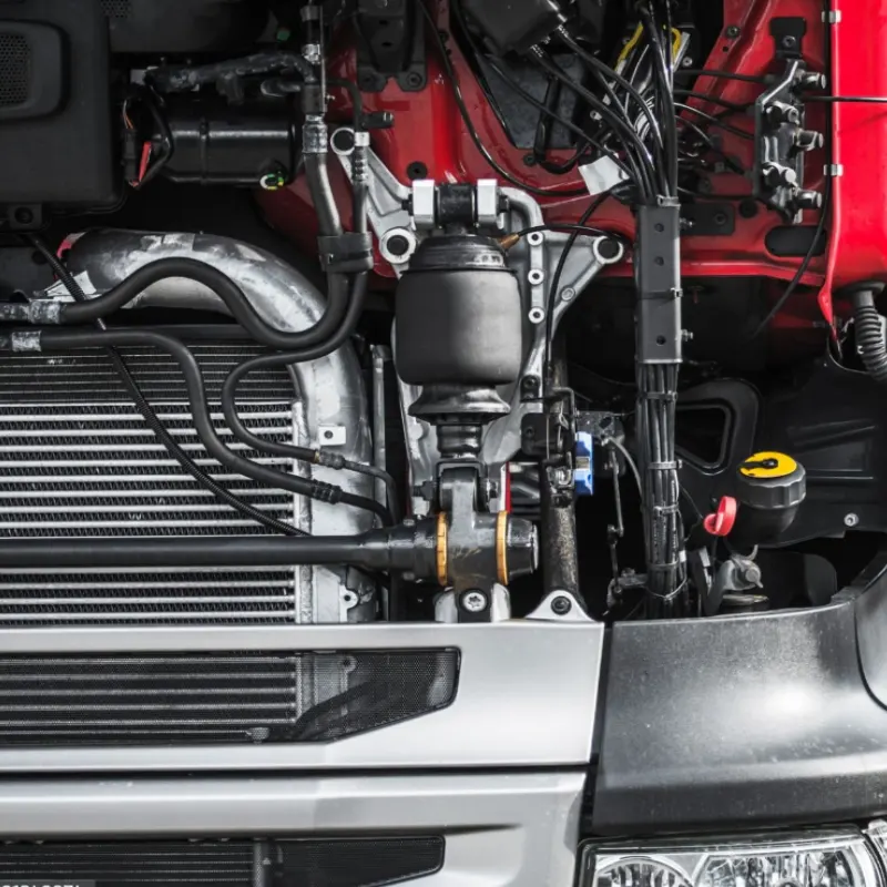 Mec&aacute;nica del Camion